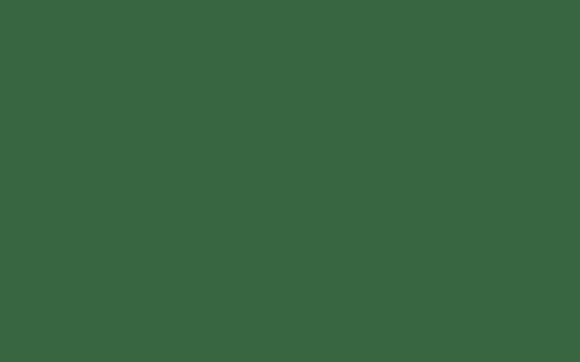 Gatorland (placeholder)